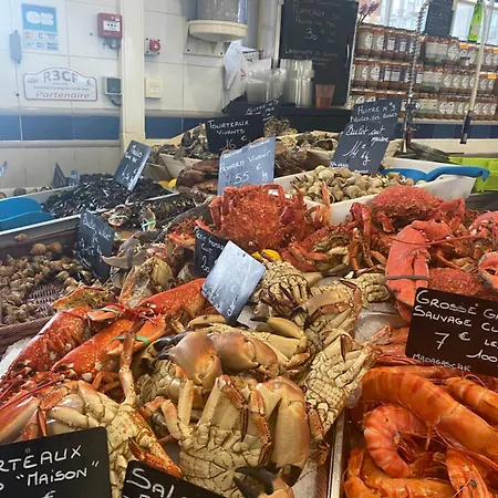 Charmante Maison A Proche Le Treport Ault Mers Les Bains Hébergement de vacances *